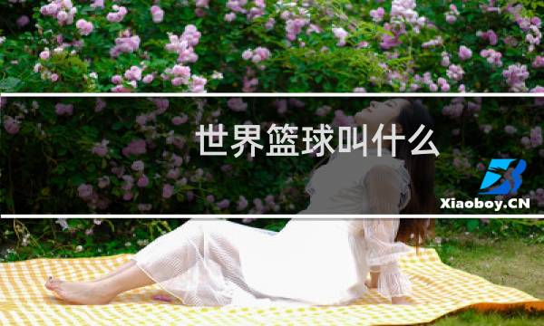 世界篮球叫什么图片
