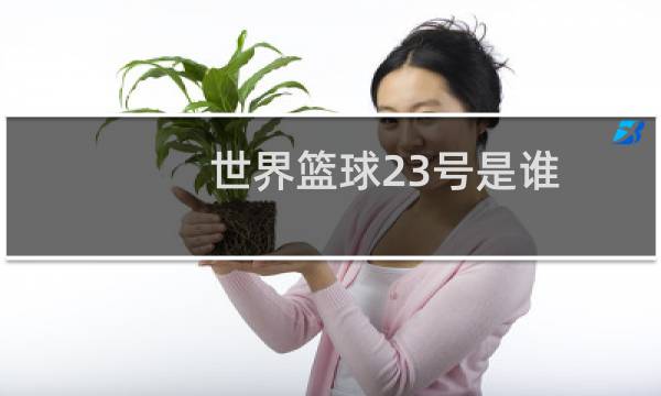 世界篮球23号是谁图片