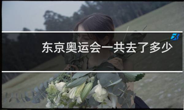 东京奥运会一共去了多少人图片