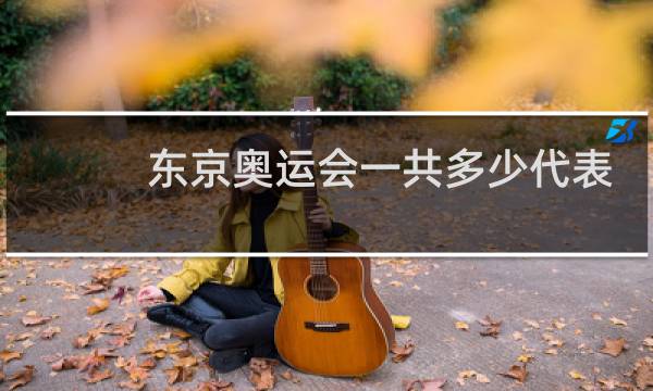 东京奥运会一共多少代表队图片