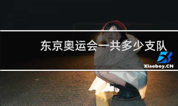 东京奥运会一共多少支队伍图片