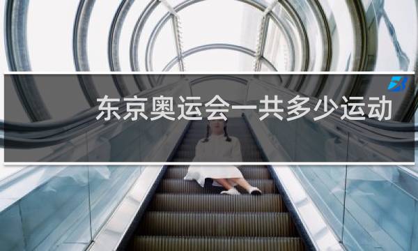 东京奥运会一共多少运动员图片