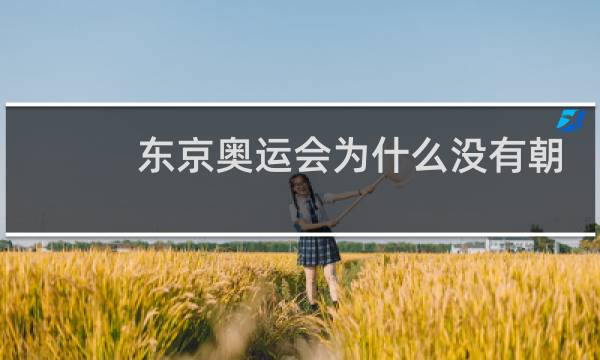 东京奥运会为什么没有朝鲜队图片