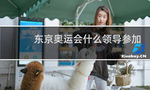东京奥运会什么领导参加图片