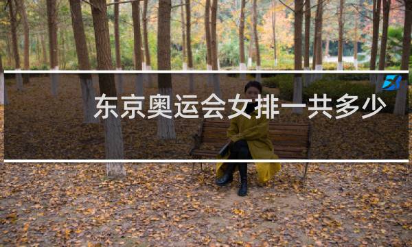 东京奥运会女排一共多少个队图片