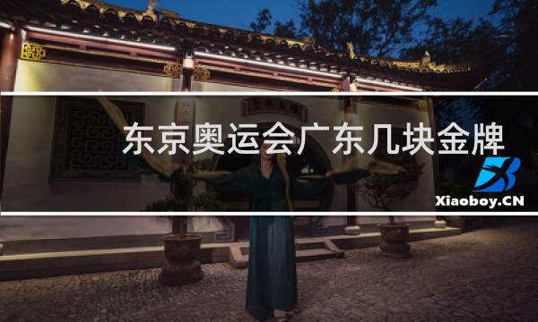 东京奥运会广东几块金牌图片