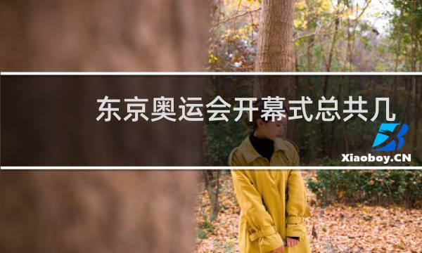 东京奥运会开幕式总共几个国家参加图片