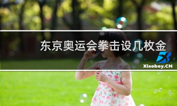 东京奥运会拳击设几枚金牌图片