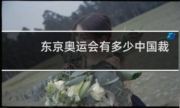 东京奥运会有多少中国裁判员图片