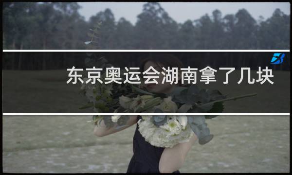 东京奥运会湖南拿了几块奖牌图片
