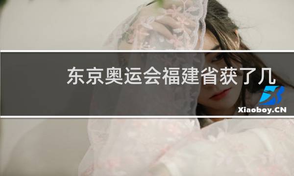 东京奥运会福建省获了几枚金牌图片