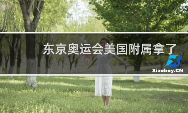 东京奥运会美国附属拿了几块金牌图片