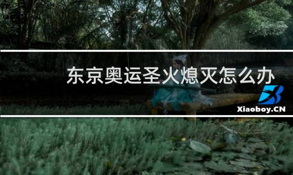 东京奥运圣火熄灭怎么办图片