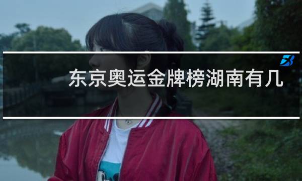 东京奥运金牌榜湖南有几块图片