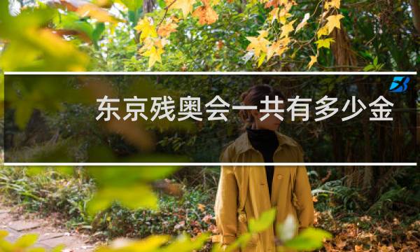 东京残奥会一共有多少金牌图片