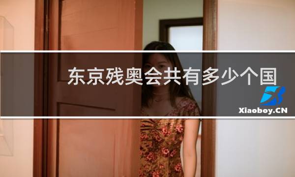 东京残奥会共有多少个国家参加图片