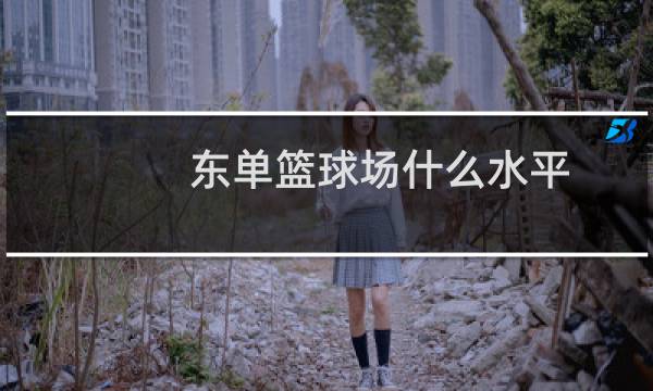 东单篮球场什么水平图片