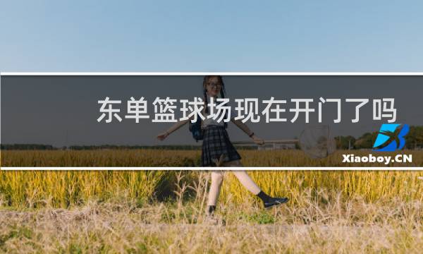 东单篮球场现在开门了吗图片