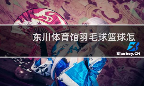 东川体育馆羽毛球篮球怎么样图片