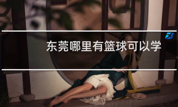 东莞哪里有篮球可以学图片