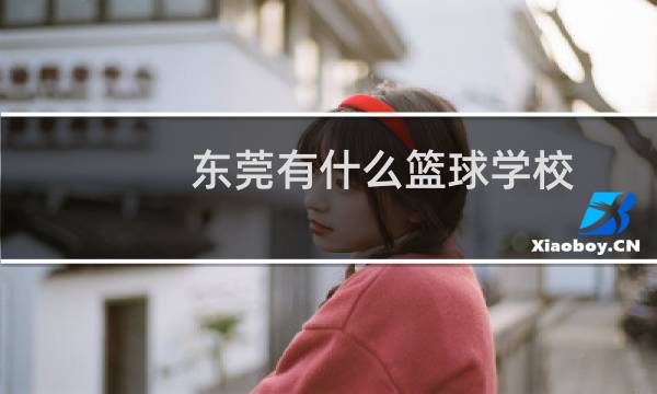 东莞有什么篮球学校图片