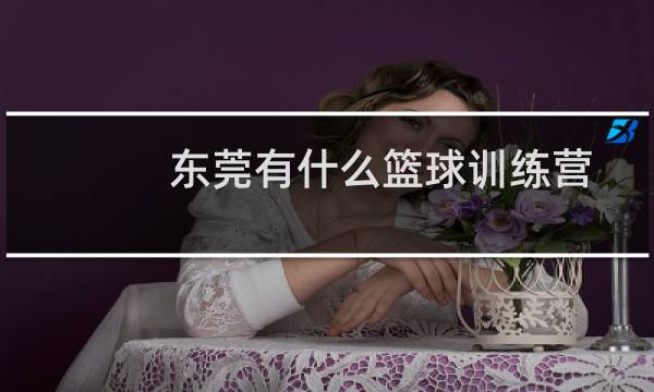 东莞有什么篮球训练营图片