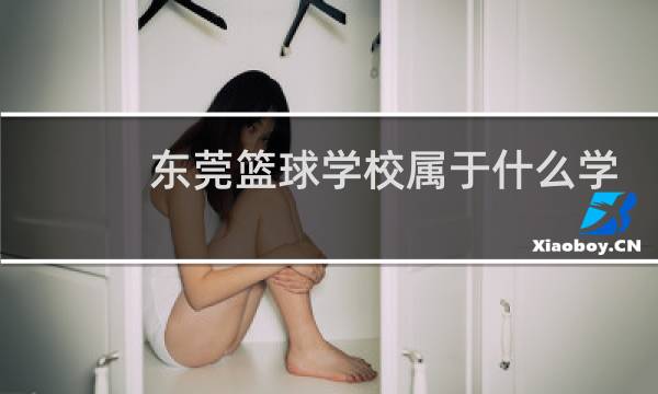 东莞篮球学校属于什么学校图片