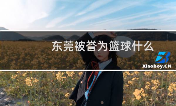 东莞被誉为篮球什么图片