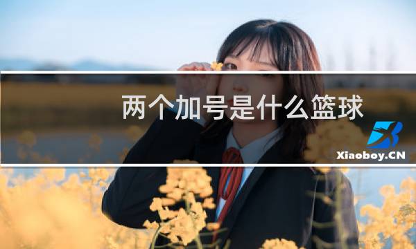 两个加号是什么篮球图片