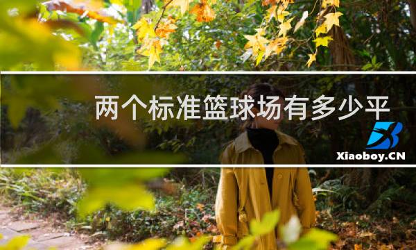 两个标准篮球场有多少平方图片