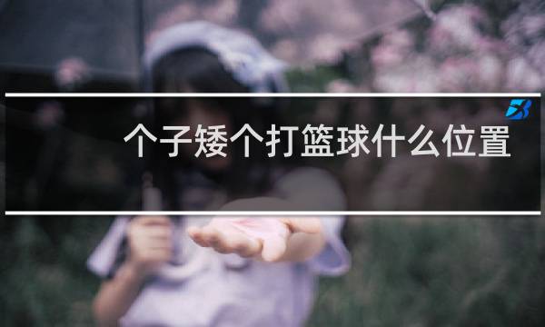个子矮个打篮球什么位置图片