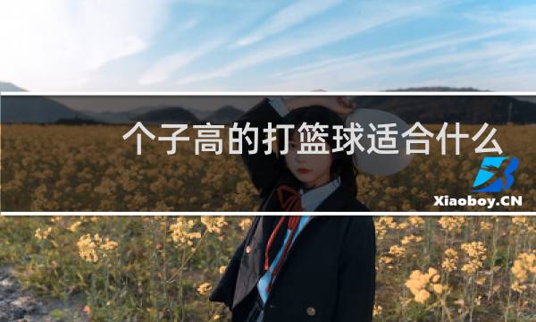 个子高的打篮球适合什么位置图片