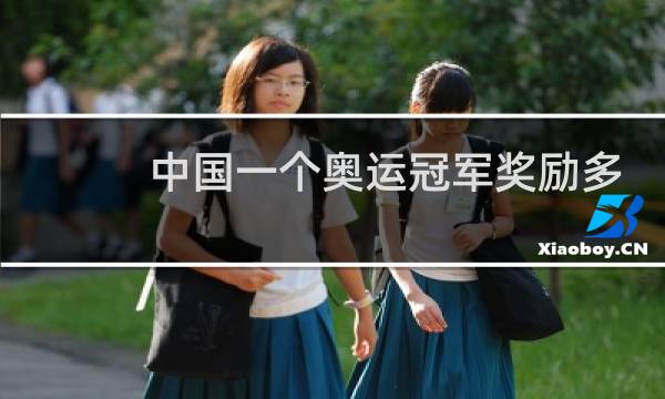 中国一个奥运冠军奖励多少钱图片