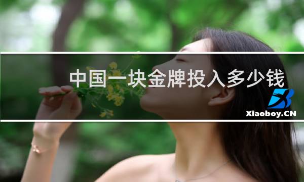 中国一块金牌投入多少钱图片