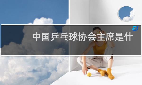 中国乒乓球协会主席是什么职务图片