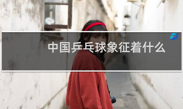 中国乒乓球象征着什么图片