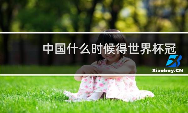 中国什么时候得世界杯冠军图片