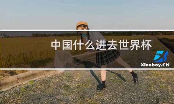 中国什么进去世界杯图片
