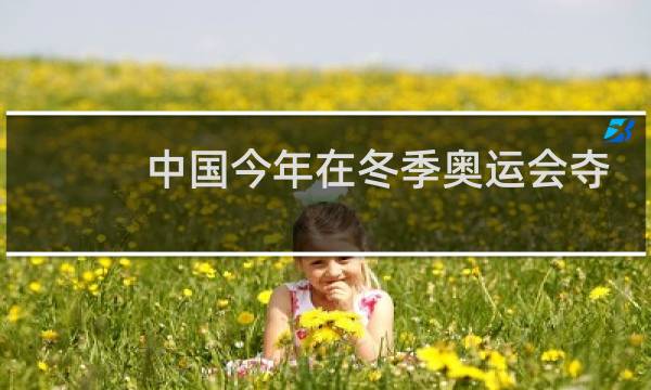 中国今年在冬季奥运会夺得了几美金图片