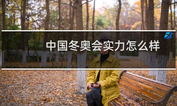 中国冬奥会实力怎么样图片