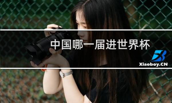 中国哪一届进世界杯图片