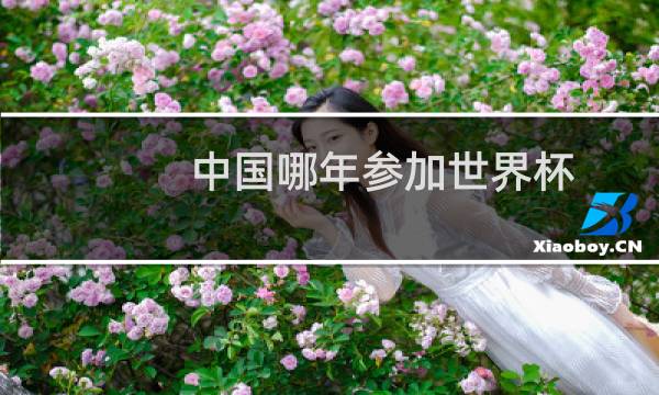 中国哪年参加世界杯图片