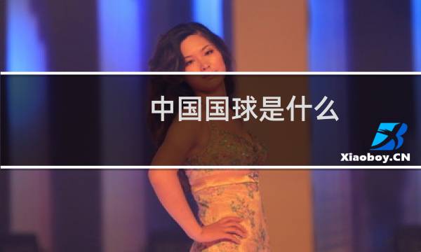 中国国球是什么图片
