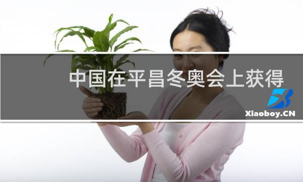 中国在平昌冬奥会上获得几枚金牌图片