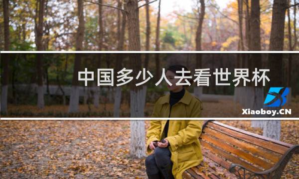 中国多少人去看世界杯图片