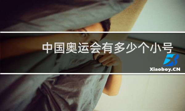 中国奥运会有多少个小号图片