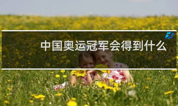 中国奥运冠军会得到什么图片
