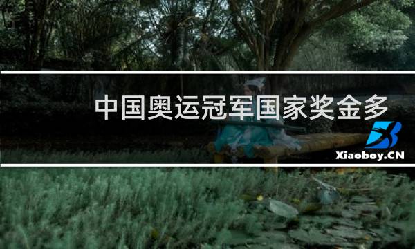 中国奥运冠军国家奖金多少钱2021图片