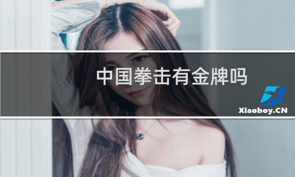 中国拳击有金牌吗图片