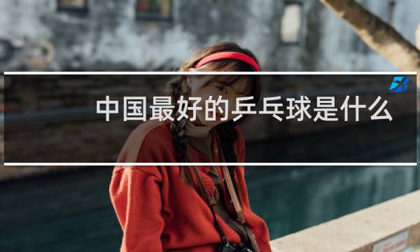 中国最好的乒乓球是什么牌子图片